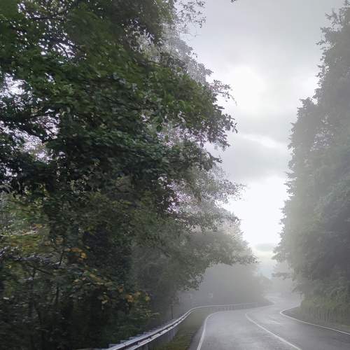 Photo #7387755