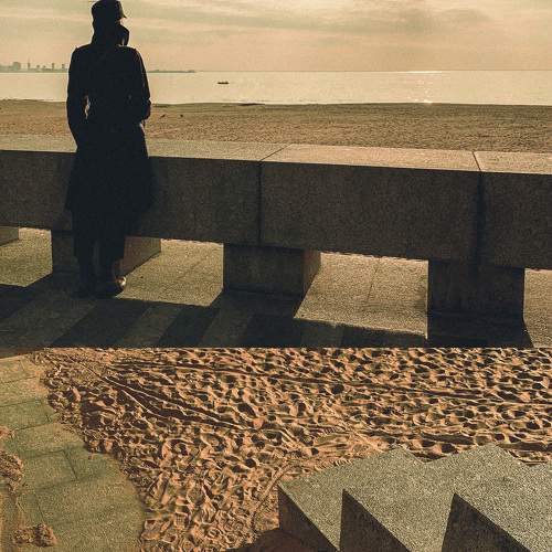 Photo #7388189
