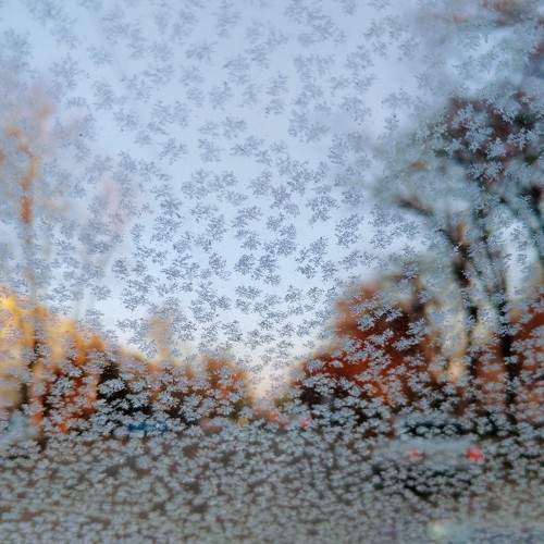 Photo #7388192