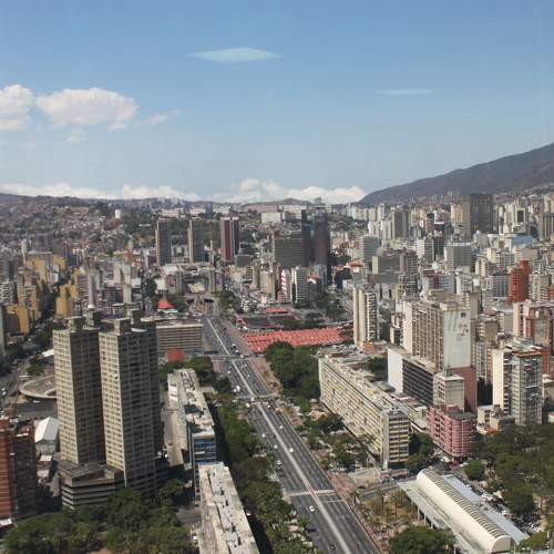 Selva de cemento