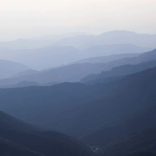 Photo #7388490