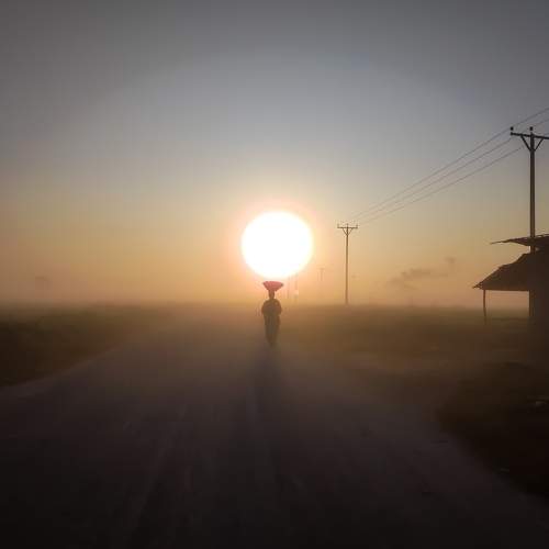 Photo #7388665