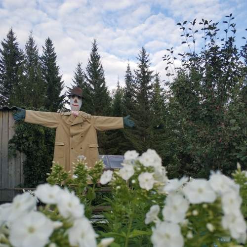 Photo #7388696