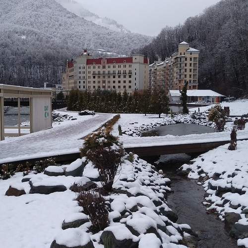 Photo #7388701