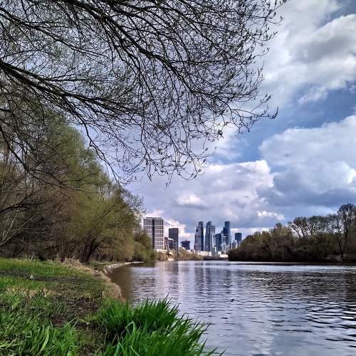 Photo #7388722