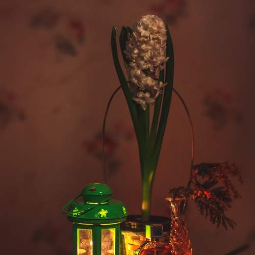 Photo #7388842