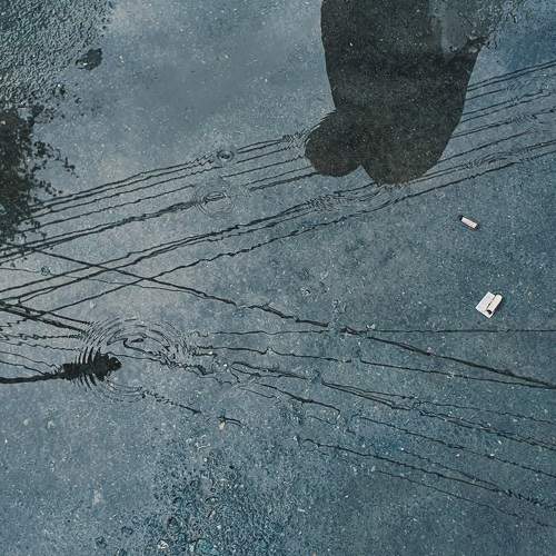 Photo #7389087