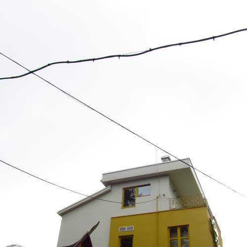Photo #7389333