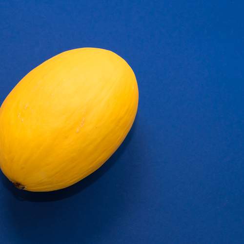 Photo #7389398