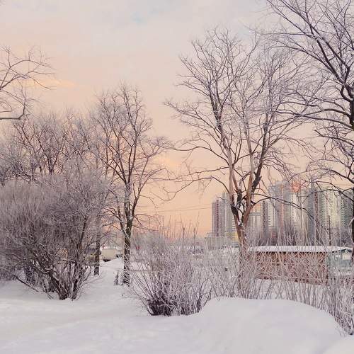 Photo #7389521