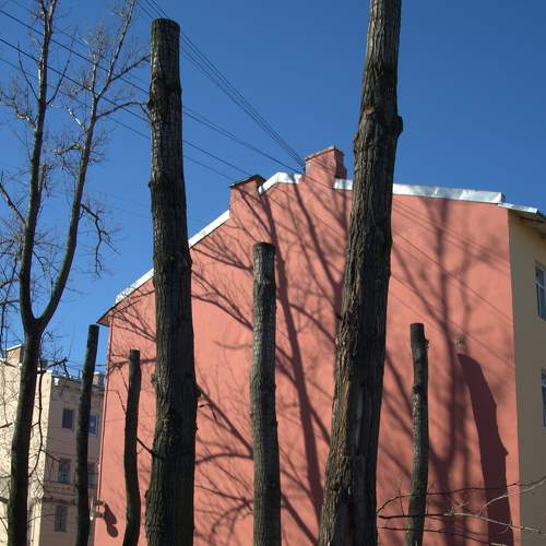Photo #7389696