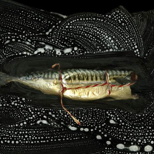 Photo #7389811