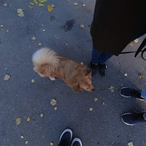 Photo #7389954
