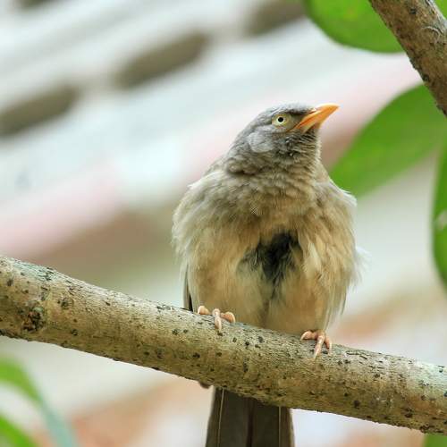 Photo #7390038