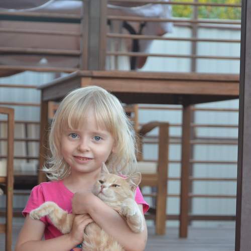 Photo #7390078