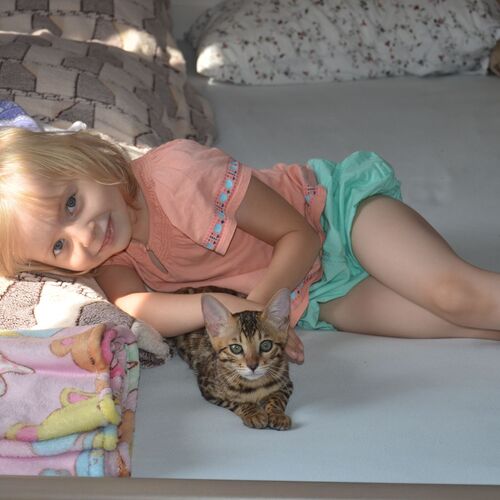 Photo #7390172
