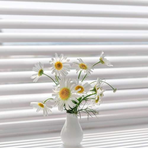 Photo #7390609