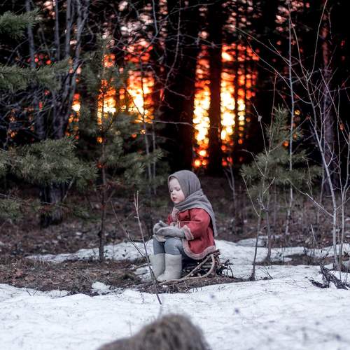 Photo #7390654