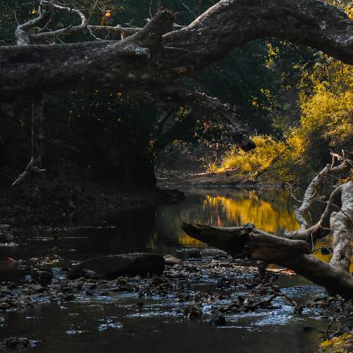 Photo #7391098