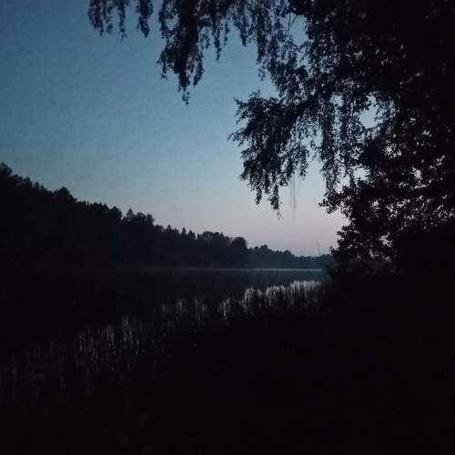 Photo #7391116