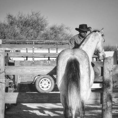 Photo #7391145