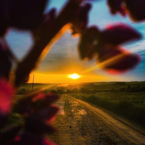 Photo #7391159