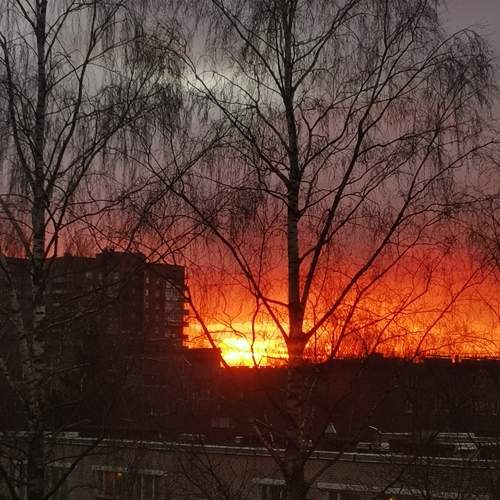 Photo #7391193