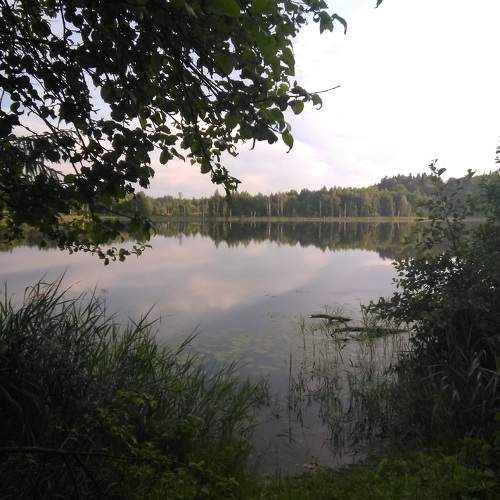 Photo #7391219