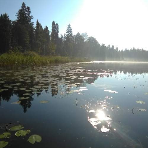 Photo #7391247