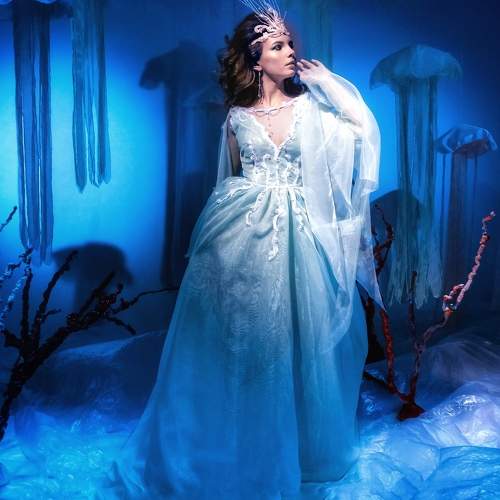 Photo #7391314