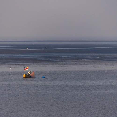 Photo #7391321