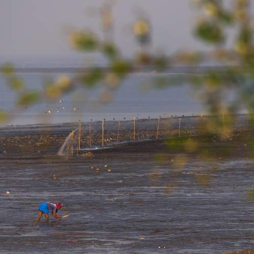 Photo #7391323