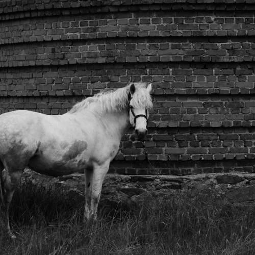 Photo #7391446