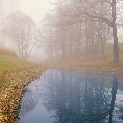 Photo #7391588