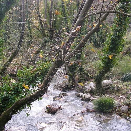 Photo #7391638