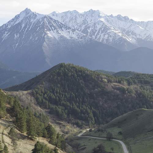 Photo #7391883