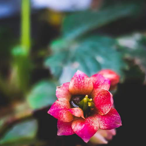 Photo #7392057