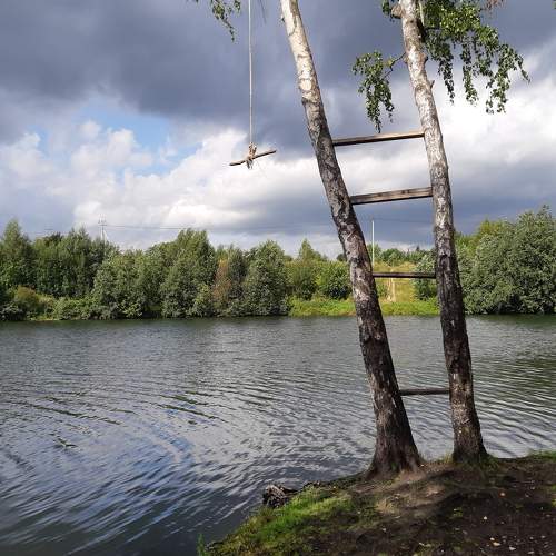 Photo #7392196