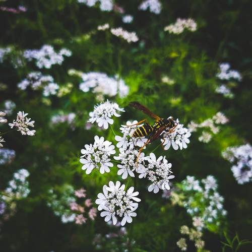 Photo #7392475