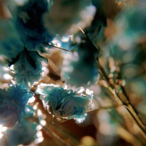 Photo #7392705