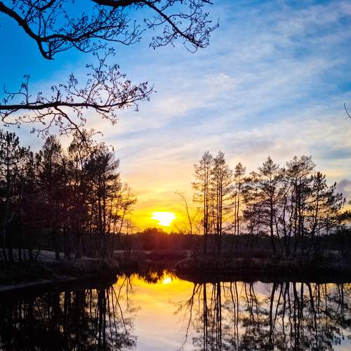 Photo #7392826