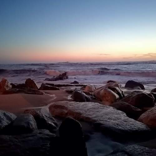Photo #7392850