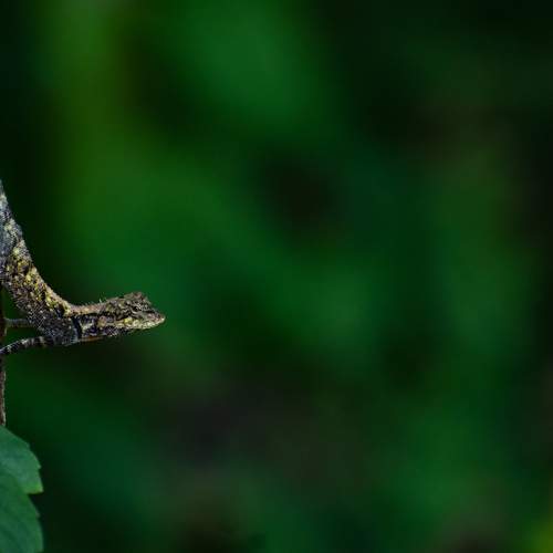 Photo #7392856