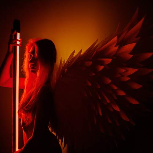Photo #7392877