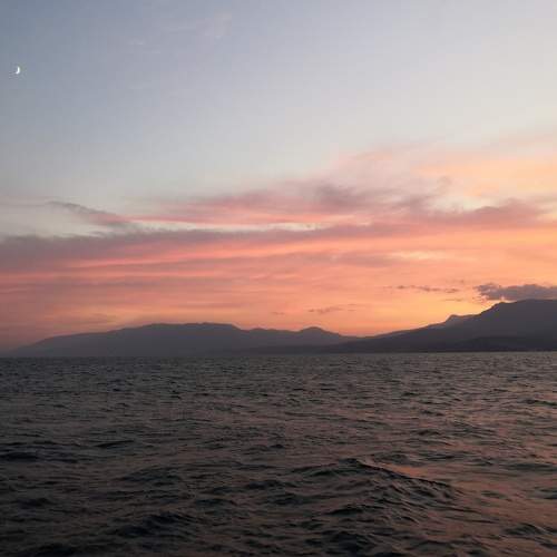 Photo #7393043