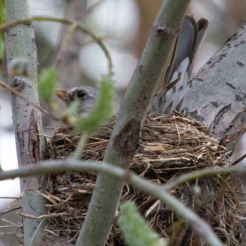 Photo #7393046