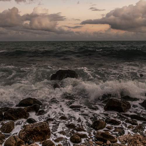 Photo #7393085