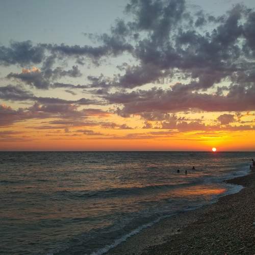 Photo #7393124