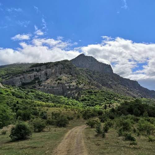 Photo #7393347