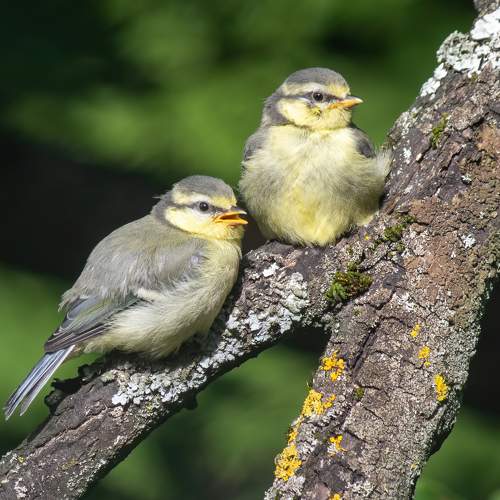 Photo #7394554